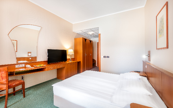 Hotel Aquarell, Standardové dvoulůžkový pokoj s přistýlkou